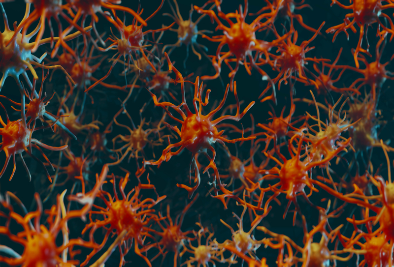 Meningite bacteriana: sintomas, causas, diagnóstico e tratamento